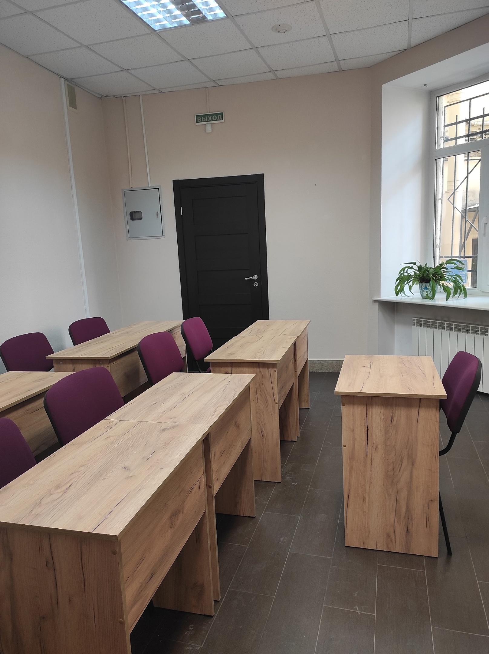 Детский городской лагерь Нимари – городской лагерь, Санкт-Петербург, м.Петроградская. Путевки в детский лагерь на 2026-2027 год, фото размещения 4