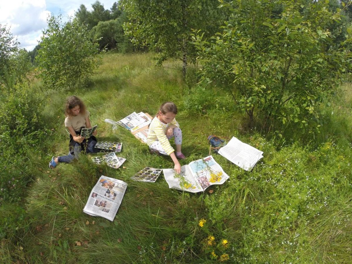 Экологика – туристический лагерь, Калужская область, Калуга. Путевки в детский лагерь на 2026 год, фото программы 11