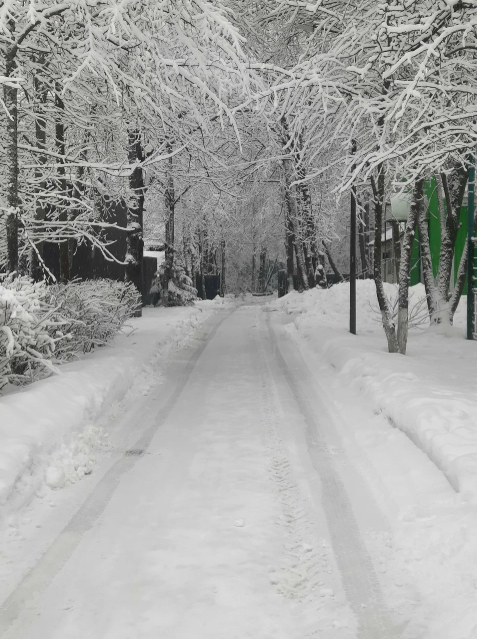 Аплодисменты. Applause KIDS – творческий лагерь, Московская обл., Пушкинский р-н. Путевки в детский лагерь на 2026 год, фото размещения 6