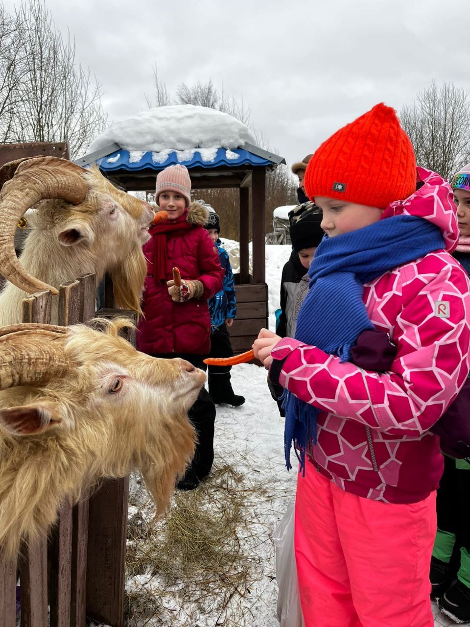 Конный лагерь Актив – спортивный лагерь, Ленинградская обл., Всеволожск. Путевки в детский лагерь на 2026 год, фото 4