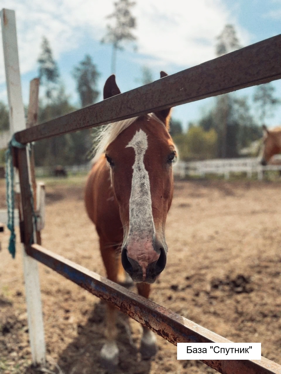 Элинор – творческий лагерь, Московская обл., Королёв. Путевки в детский лагерь на 2026 год, фото размещения 8