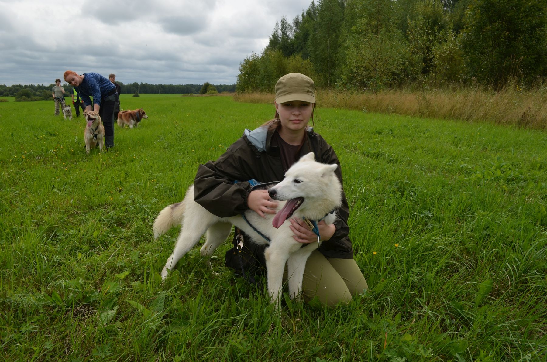 Зов Севера. Коллекция Приключений – детская программа, Костромская обл., Нейский р-н. Путевки на детские программы на 2026 год, фото 9