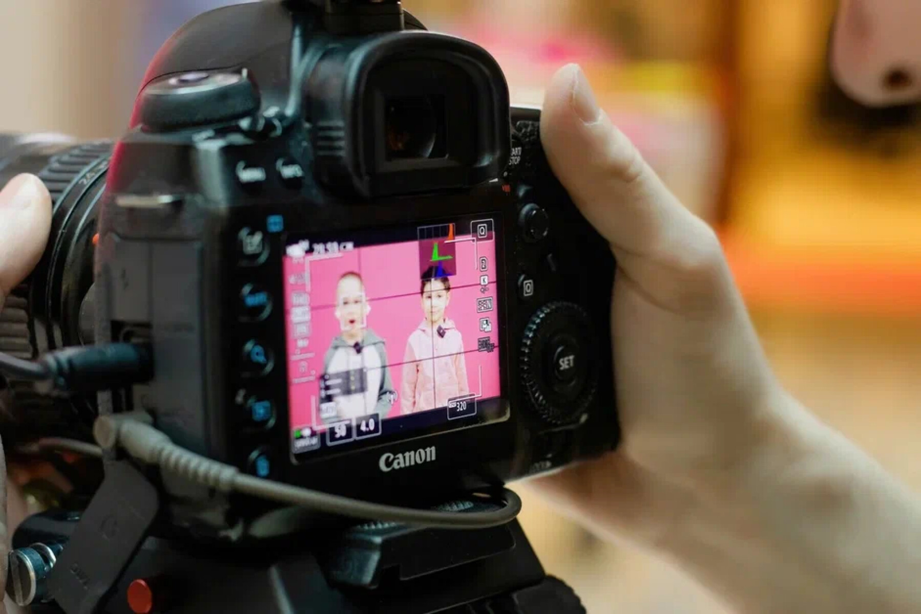 Телеканикулы – детская программа, Тамбов. Путевки на детские программы на 2026 год, фото 8