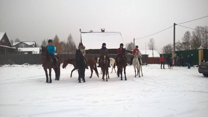 «Horse Paradise (зимний)» – Детский лагерь во Владимирской области, фото 8