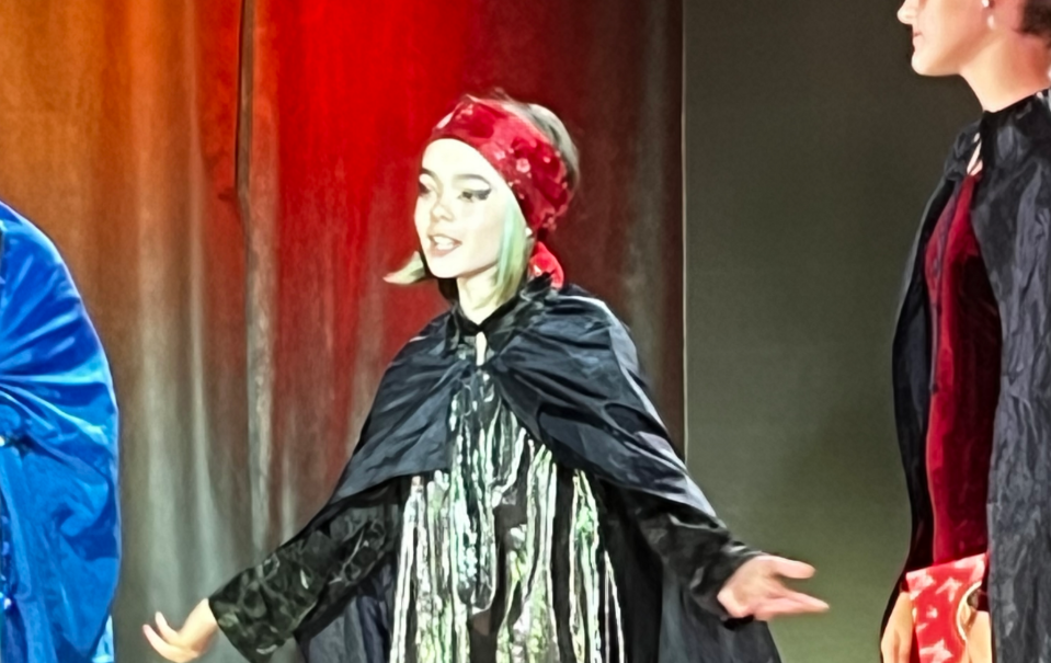 Подростково-детский творческий центр и лагерь Киноки. ДОЛ Хвойный – творческий лагерь, Ленинградская обл., Зеленогорск. Путевки в детский лагерь на 2026 год, фото 11