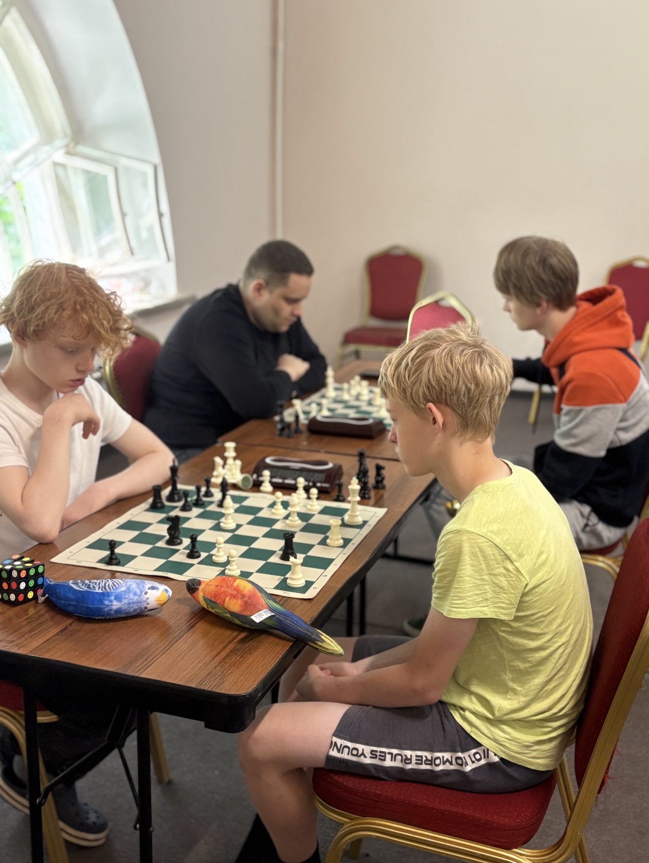 Международный шахматный фестиваль имени А.Е. Карпова – спортивный лагерь, Краснодарский край, Сукко. Путевки в детский лагерь на 2026 год, фото 5