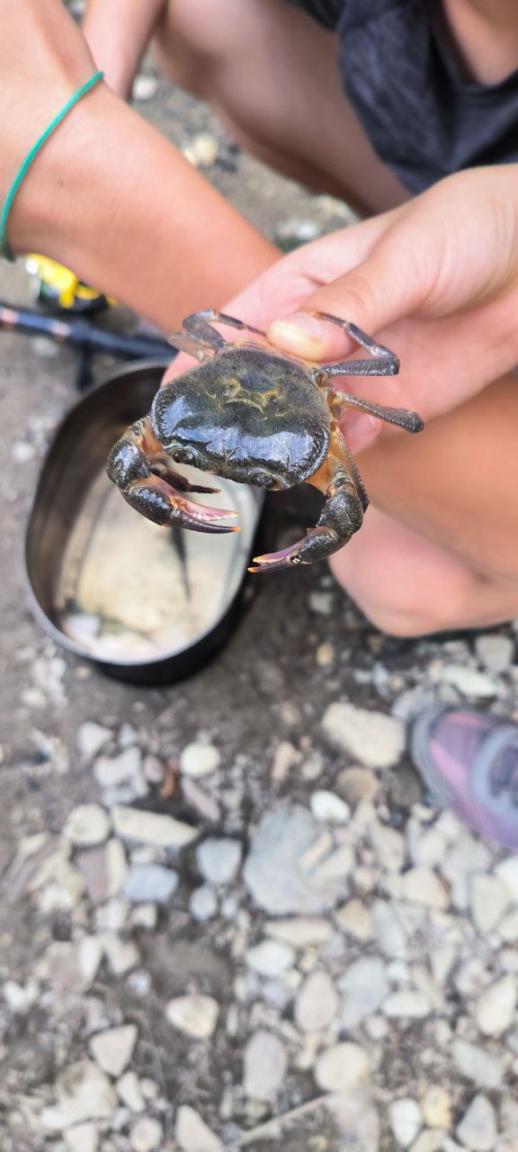 Школа туризма Вездеходы23 – детская программа, Краснодарский край. Путевки на детские программы на 2026 год, фото программы 8