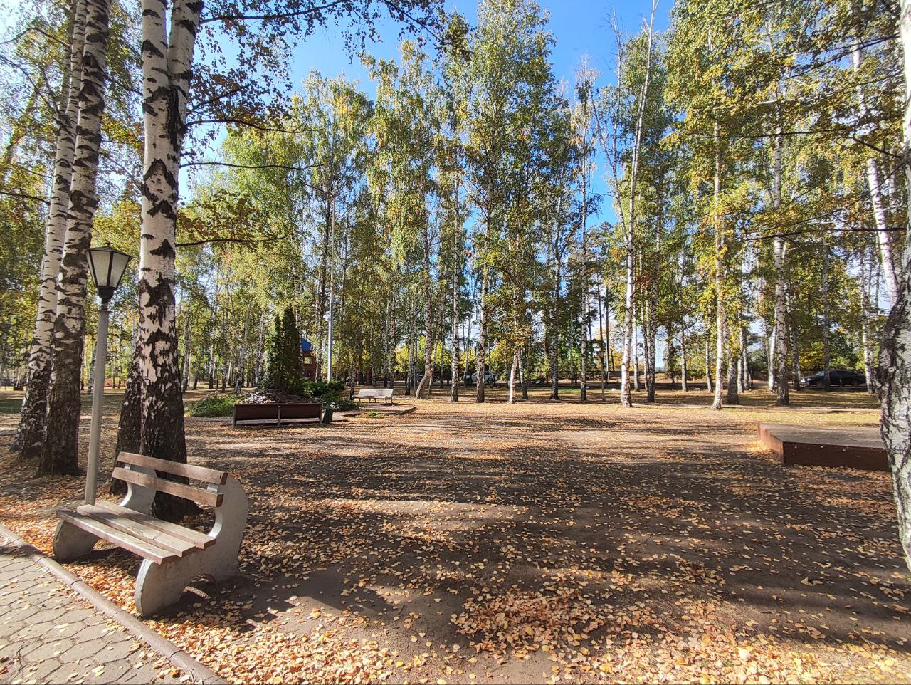 Рок-н-ролл каникулы. Лагерь Зеленые каникулы – творческий лагерь, Республика Татарстан, д. Матюшино. Путевки в детский лагерь на 2026 год, фото размещения 6