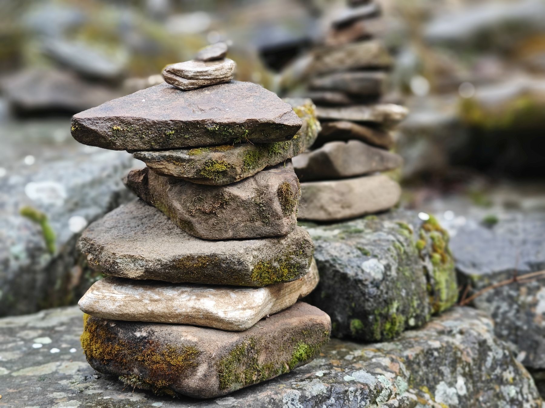 Вершины мира. Коллекция Приключений – детская программа, Краснодарский край, Геленджик. Путевки на детские программы на 2026 год, фото программы 8