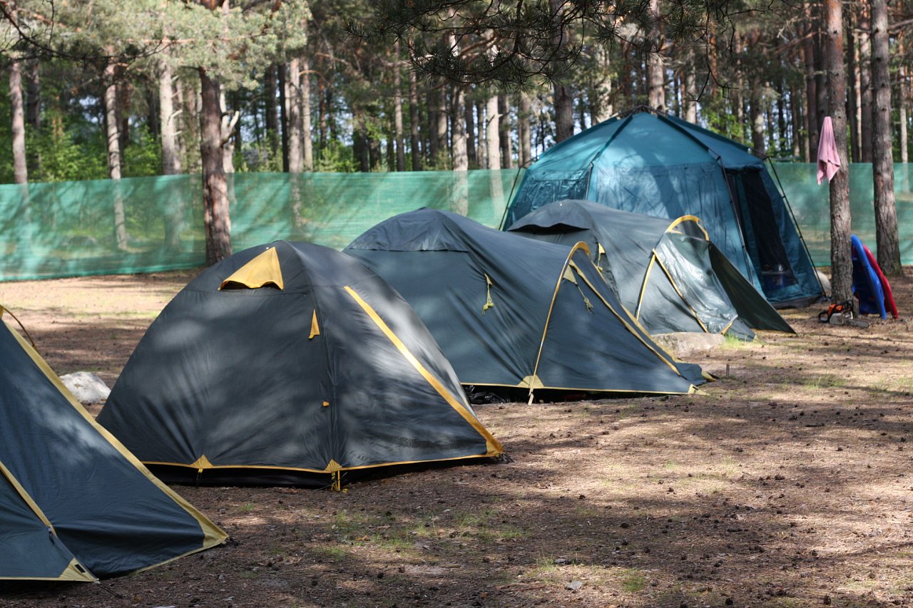 «Медведь» – Палаточный лагерь в Ленинградской области, фото размещения 2