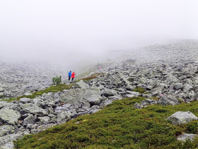 Робинзонада. Поход по Тулымскому кольцу – туристический лагерь, Пермский край. Путевки в детский лагерь на 2026 год, фото 7