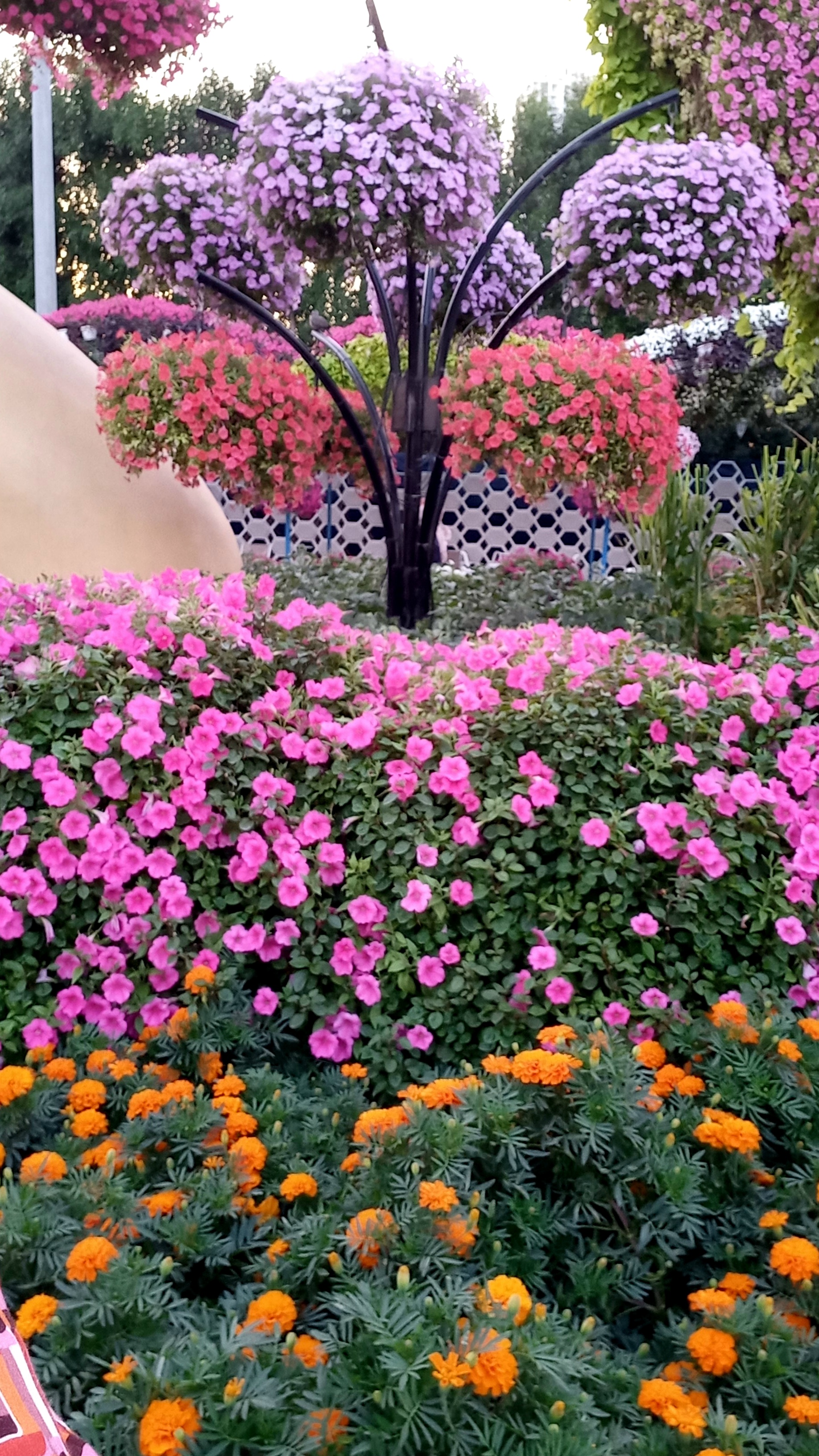 Языковой тур BC Dubai Camp – языковой лагерь, ОАЭ, Дубай. Путевки в детский лагерь на 2026 год, фото программы 5