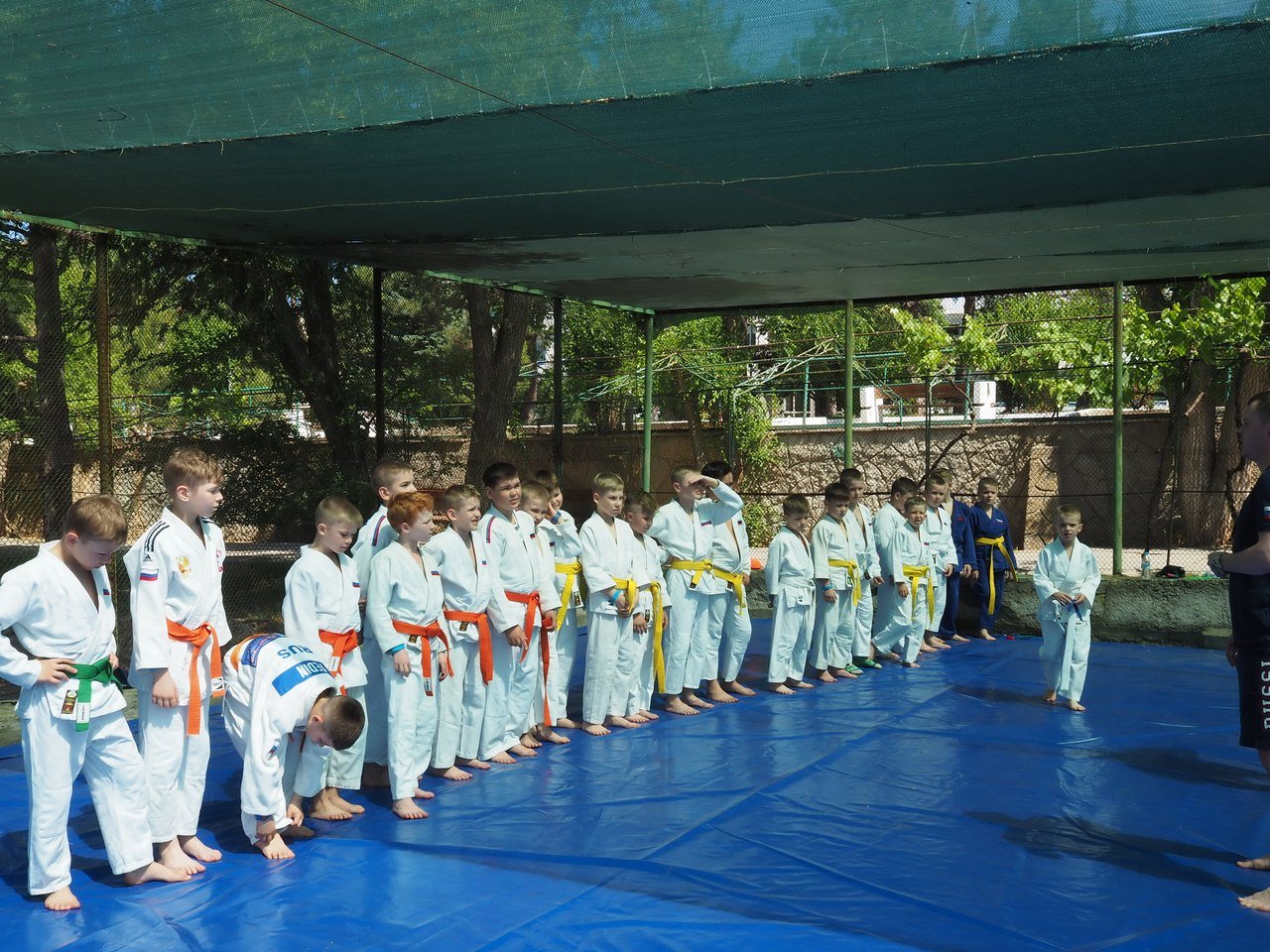 ОСК Дельфин – Мульт-Фильм – творческий лагерь, Крым, с. Песчаное. Путевки в детский лагерь на 2025-2026 год, фото 10