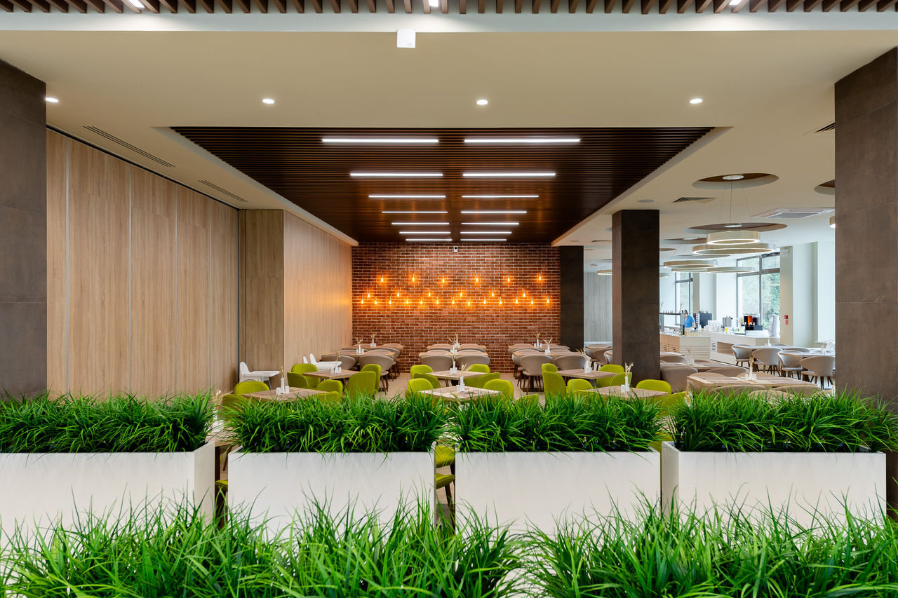 Инжиниум. IT-каникулы в Новой Истре – IT и математический лагерь, Московская обл., Истринский р-н. Путевки в детский лагерь на 2026 год, фото питания 1