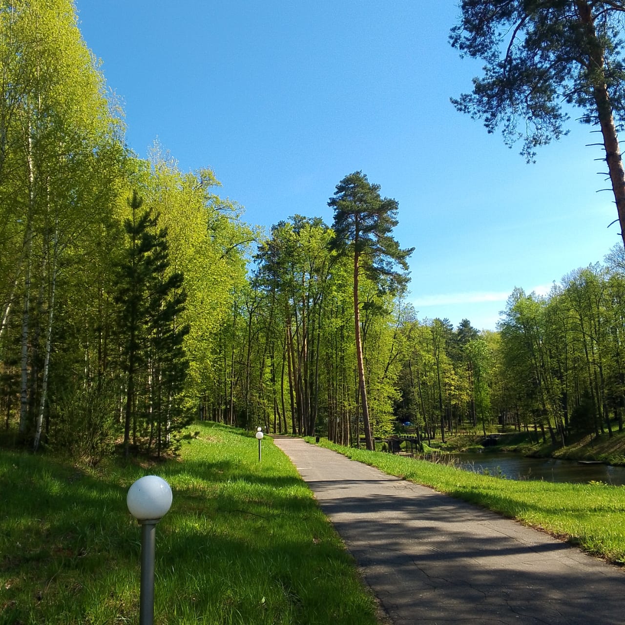 Logo Polis. Розендорф – творческий лагерь, Московская обл., Воскресенск. Путевки в детский лагерь на 2026 год, фото размещения 8