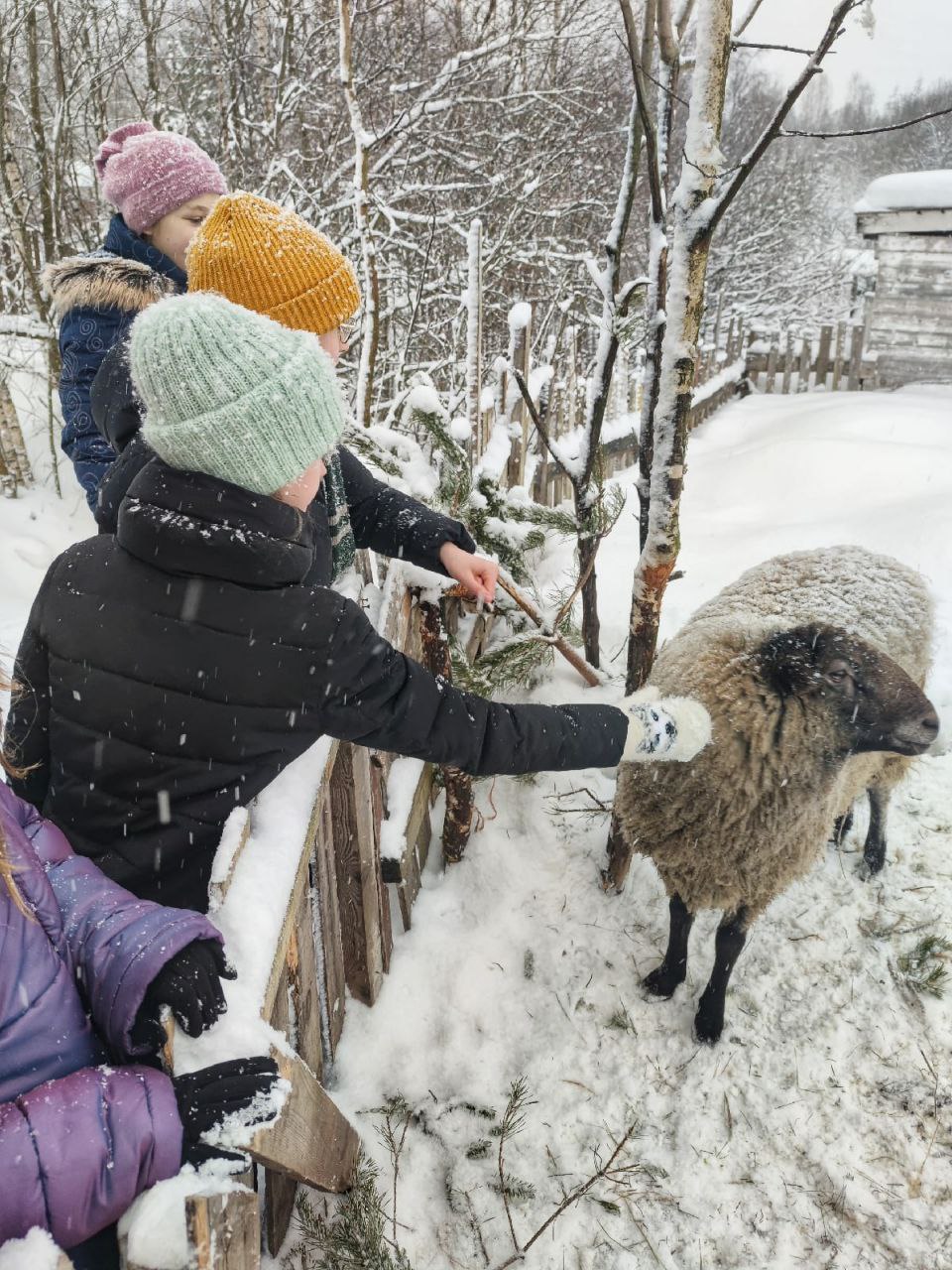 Конный лагерь Актив – спортивный лагерь, Ленинградская обл., Всеволожск. Путевки в детский лагерь на 2026 год, фото программы 11