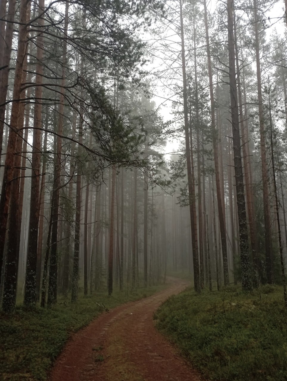 12К. Психологический лагерь – творческий лагерь, Ленинградская обл., Всеволожский р-н. Путевки в детский лагерь на 2026 год, фото размещения 8