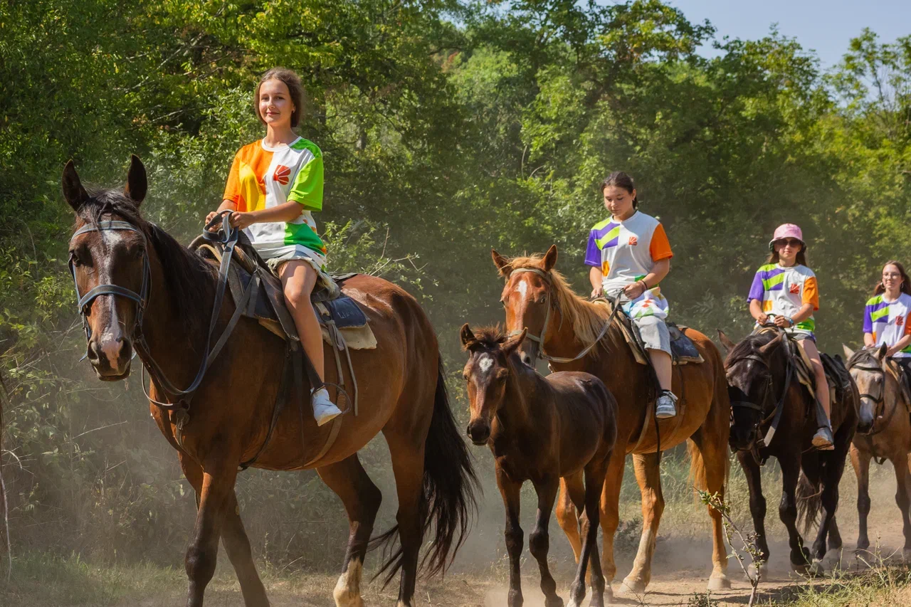 Лагерь Вита в Анапе, Витязево, Краснодарский край – путевки на 2025 год, фото программы 5
