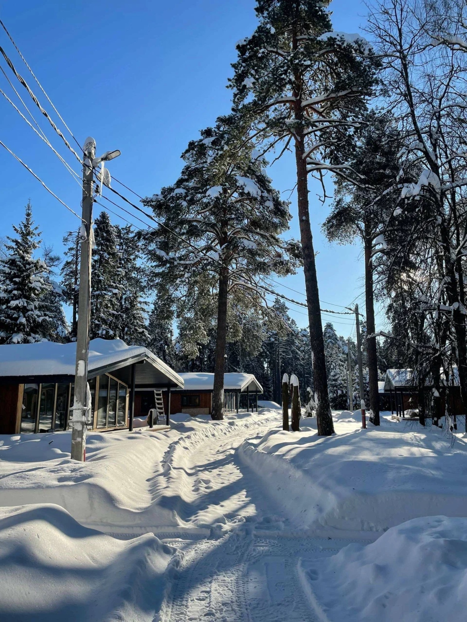 Флёр – творческий лагерь, Московская обл., Королёв. Путевки в детский лагерь на 2027 год, фото размещения 13