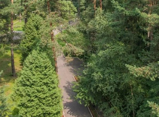 Летняя Киношкола МАКГАФФИН в Подмосковье – детская программа, Московская обл.. Путевки на детские программы на 2026 год, фото размещения 9