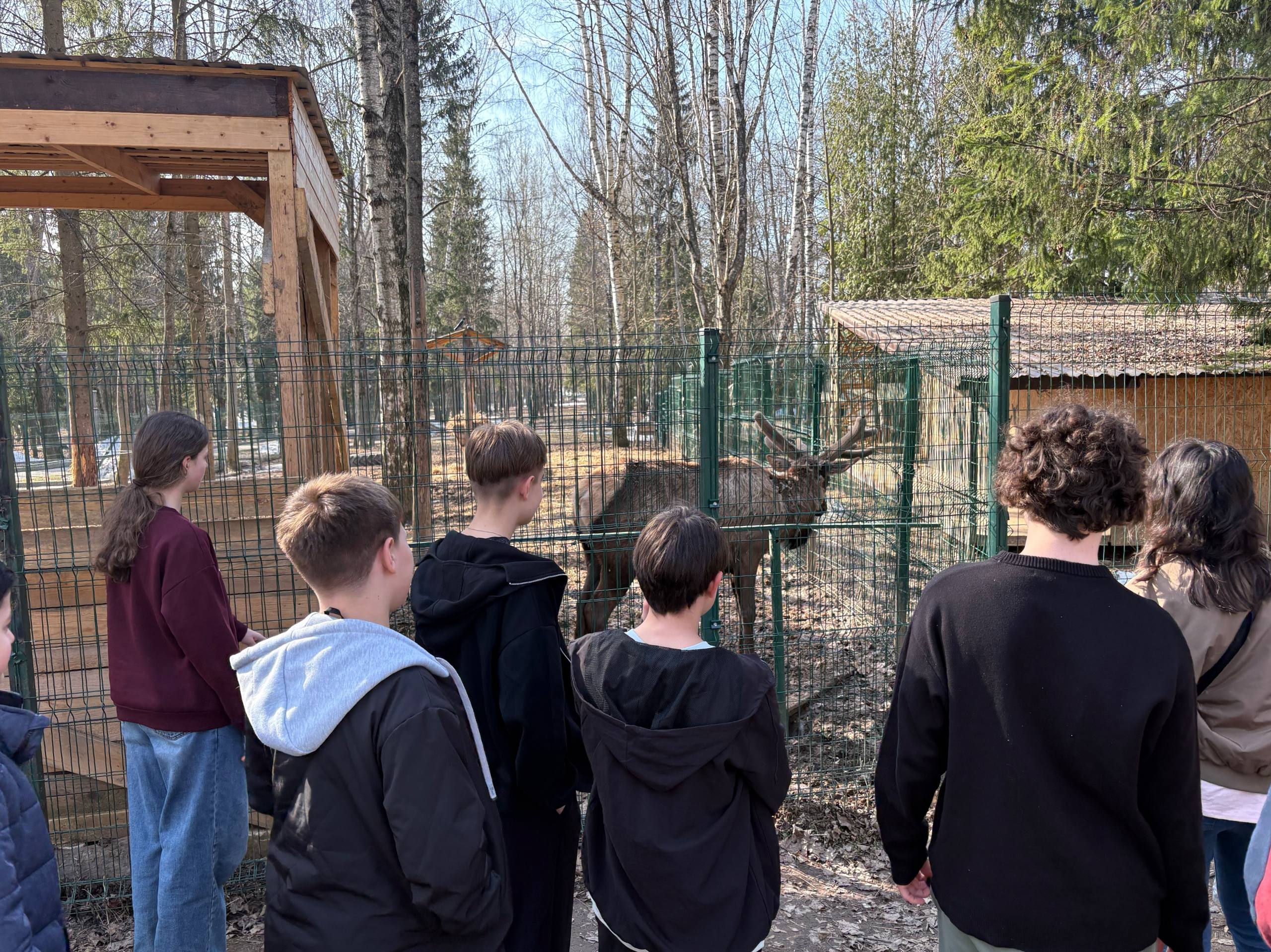 Инжиниум. ИТ-каникулы в Амакс Новая Истра – IT и математический лагерь, Московская обл., Истринский р-н. Путевки в детский лагерь на 2026 год, фото программы 3