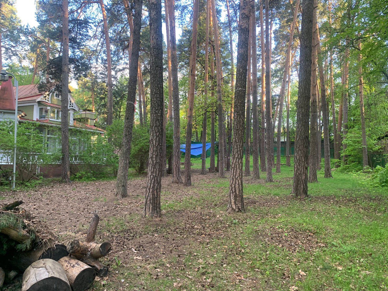 Baby Bilingual – детская программа, Москва, 3 локации. Путевки на детские программы на 2026 год, фото размещения 5