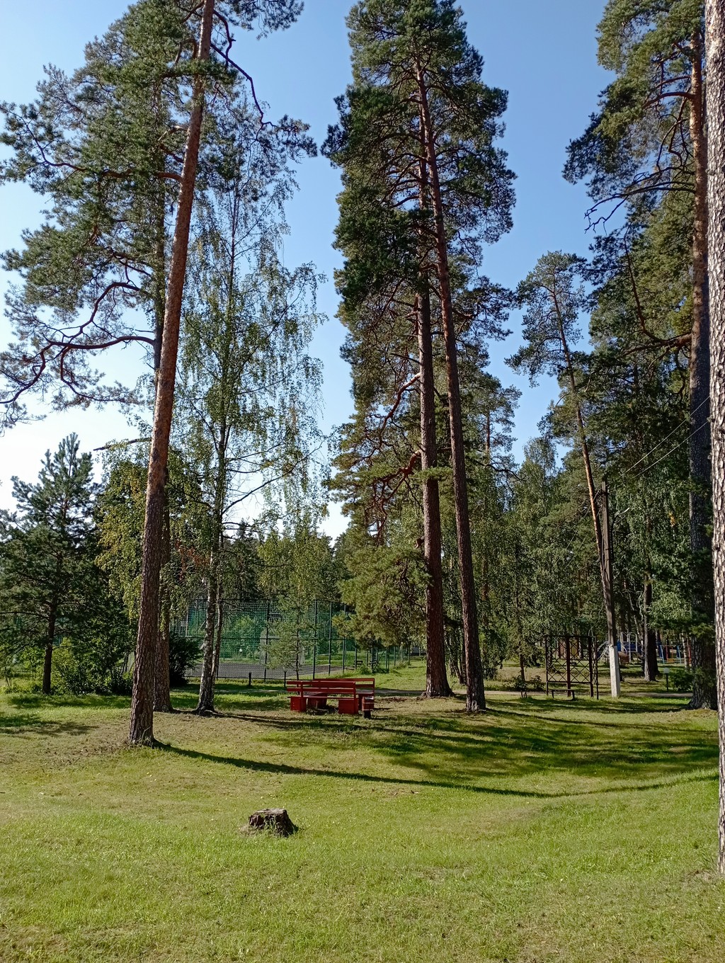 Stremlenie Camp Рубин – спортивный лагерь, Ленинградская область, Луга. Путевки в детский лагерь на 2026 год, фото размещения 1