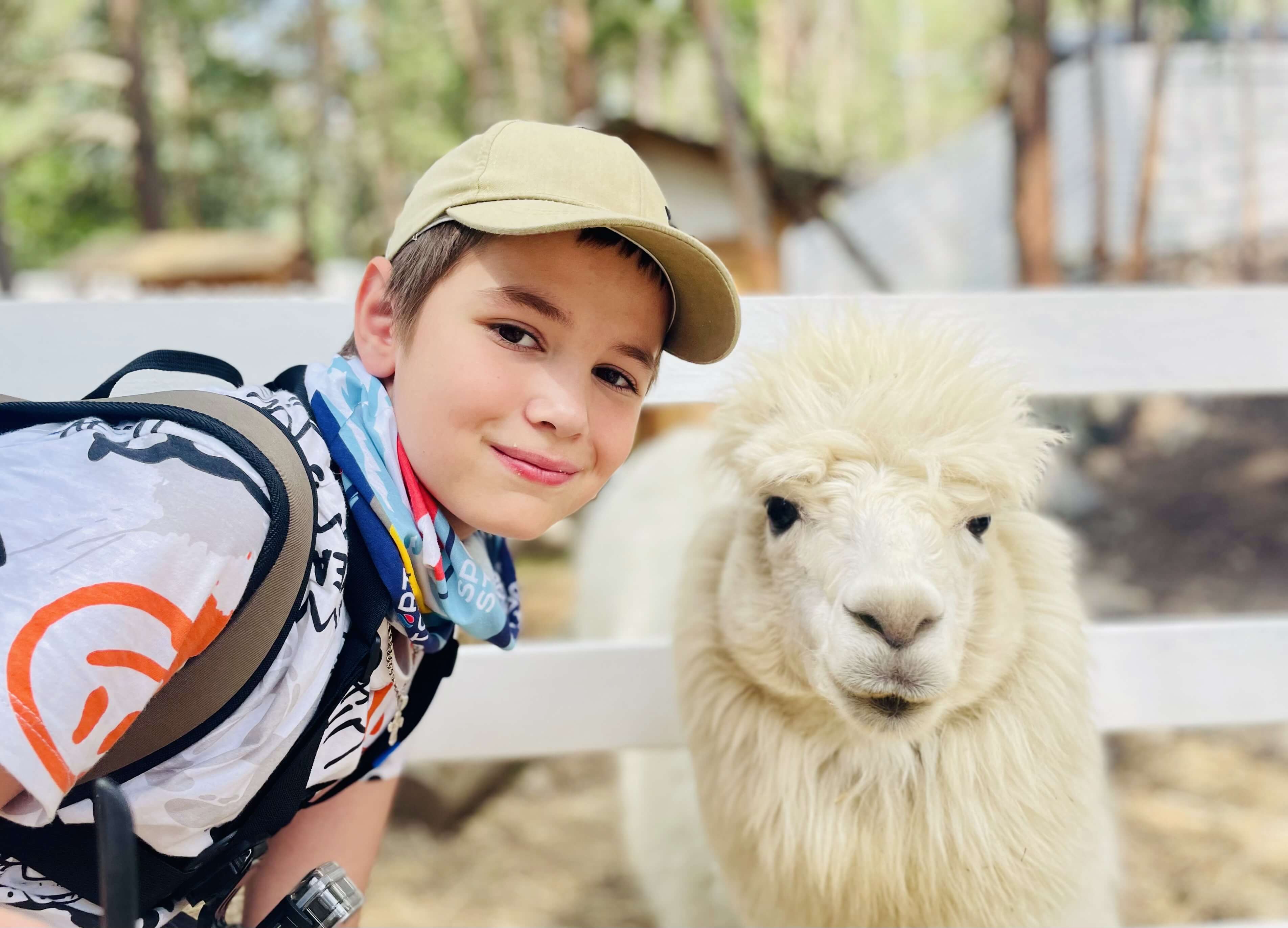 Sport Story в Приэльбрусье – детская программа, Кабардино-Балкария, Эльбрусский р-н. Путевки на детские программы на 2026 год, фото 14