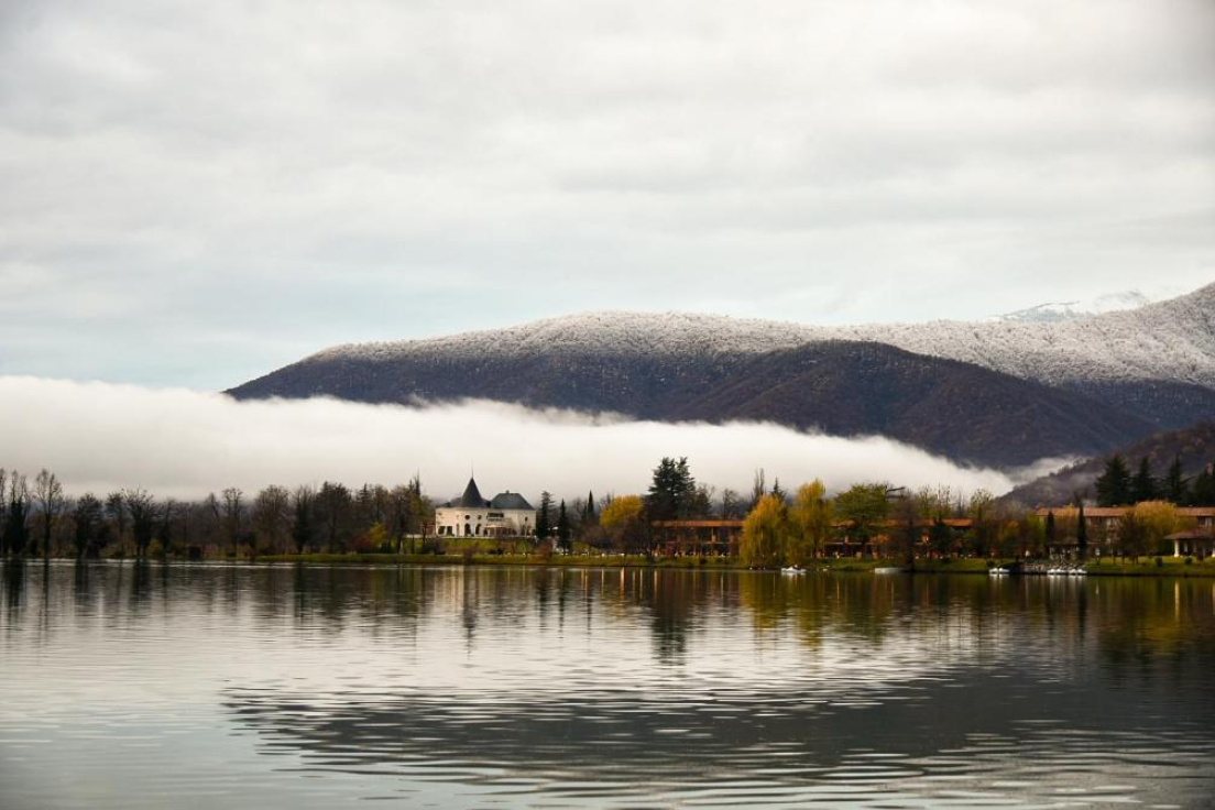 «Оксфорд Кэмп Грузия», Грузия, Тбилиси – 6.