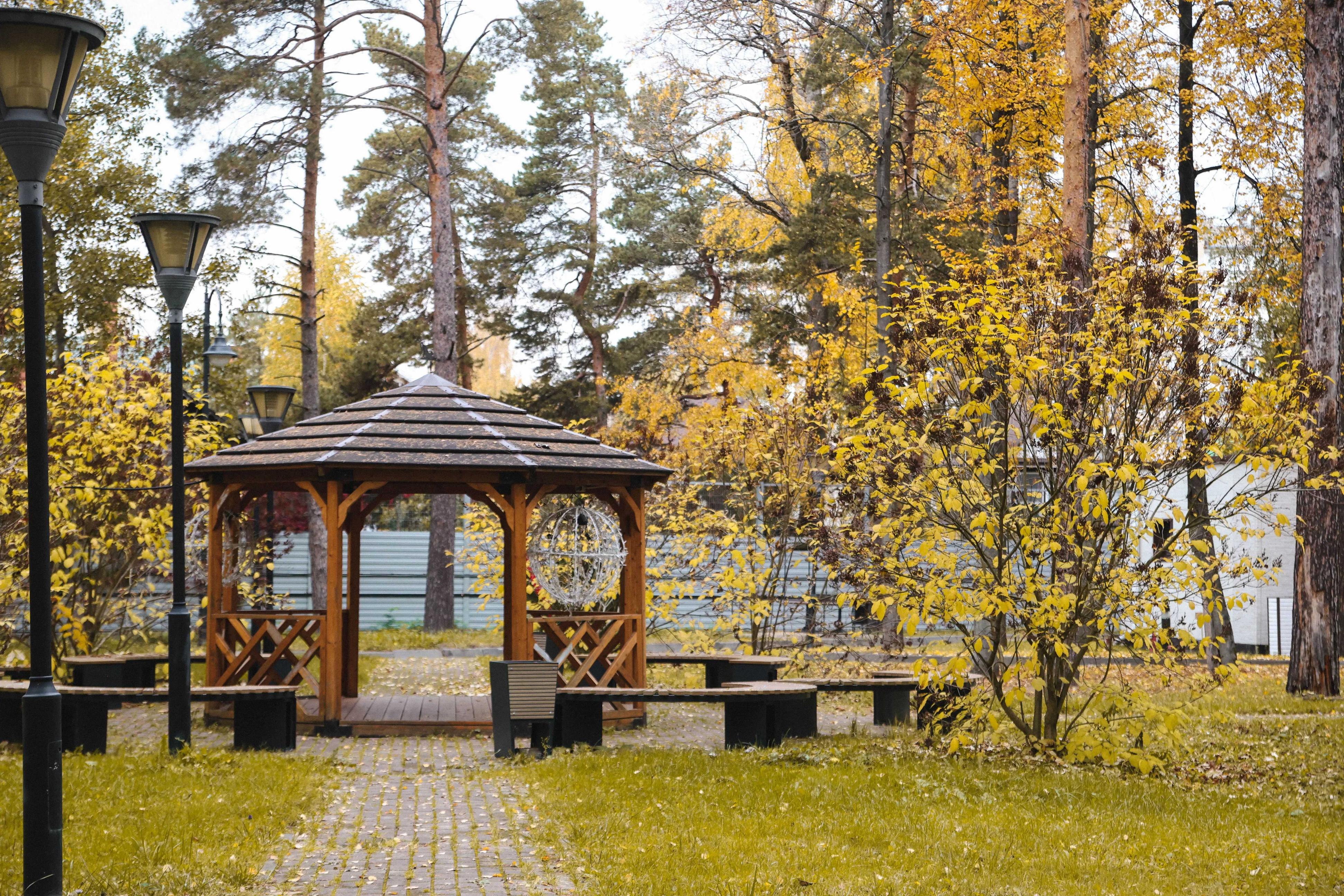 Enjoy Camp Роботы. Ёлочки – детская программа, Московская обл., Домодедово. Путевки на детские программы на 2026 год, фото размещения 10