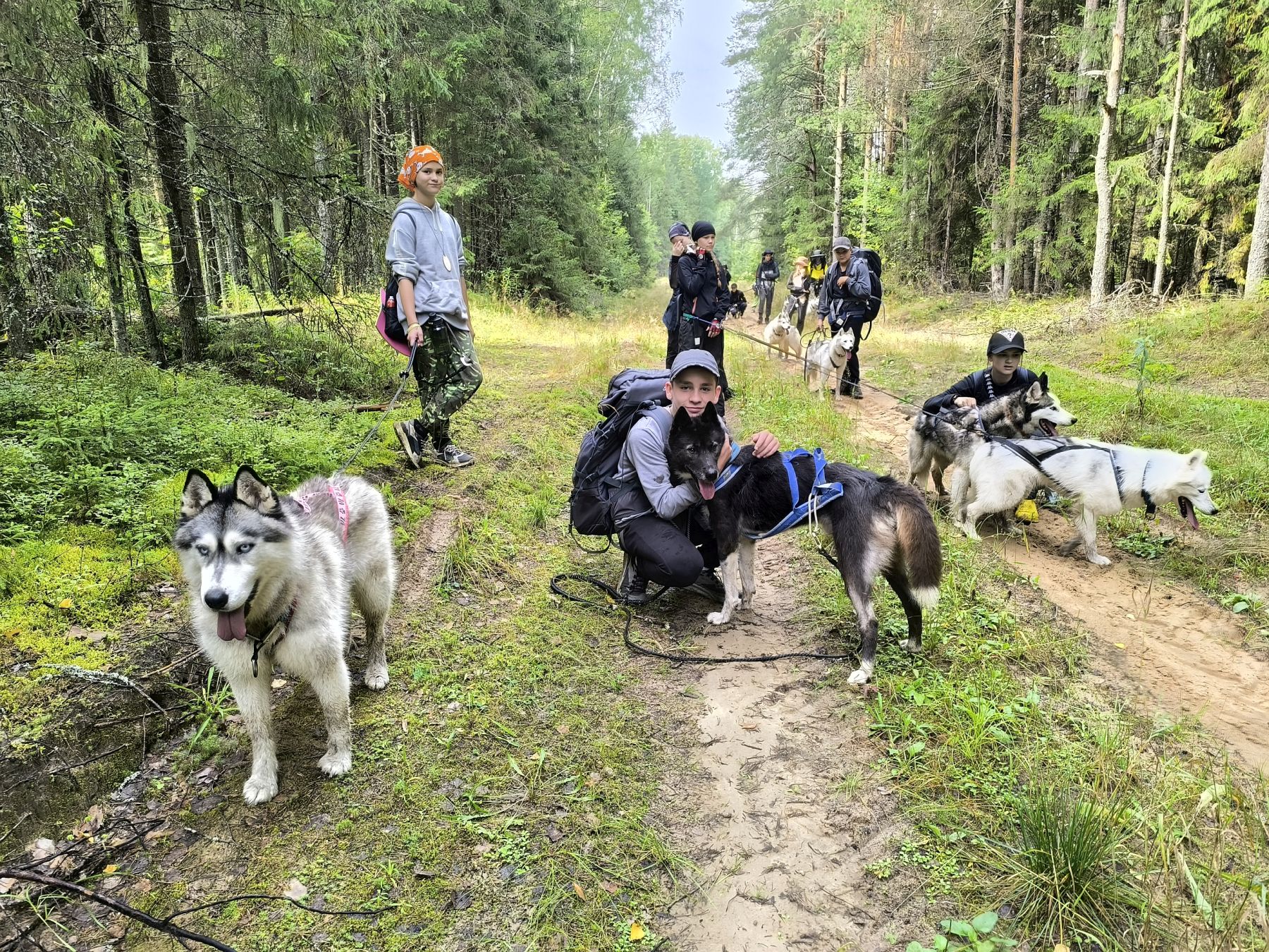 «Зов Севера. Верное сердце. Коллекция приключений», Костромская обл., Литвиново – 2.