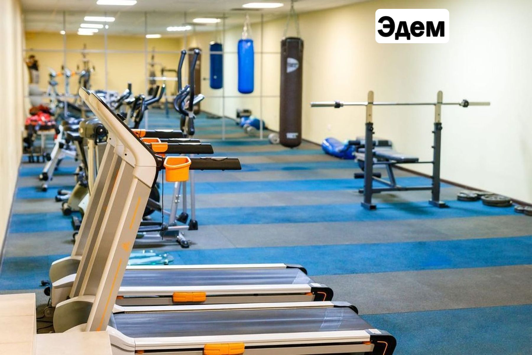 Oxford Camp. Классика. Эдем и Новая Истра – детская программа, Московская обл., 2 локации. Путевки на детские программы на 2026 год, фото размещения 10