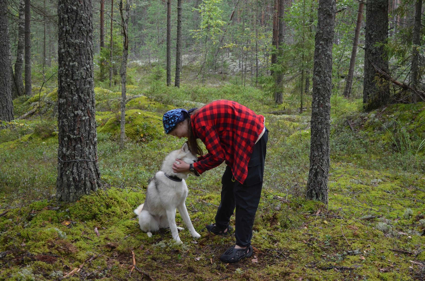 «Зов Севера. Верное сердце. Коллекция приключений», Костромская обл., Литвиново – 3.