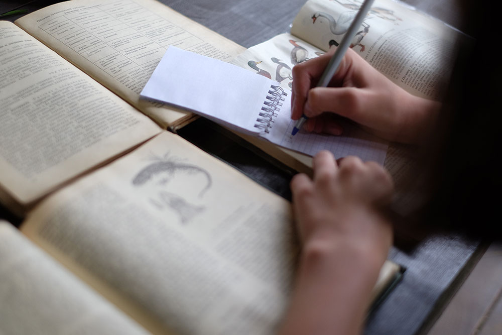 Экологика. Полевой практикум на Экостанции Угра – детская программа, Калужская область, Калуга. Путевки на детские программы на 2026 год, фото 7