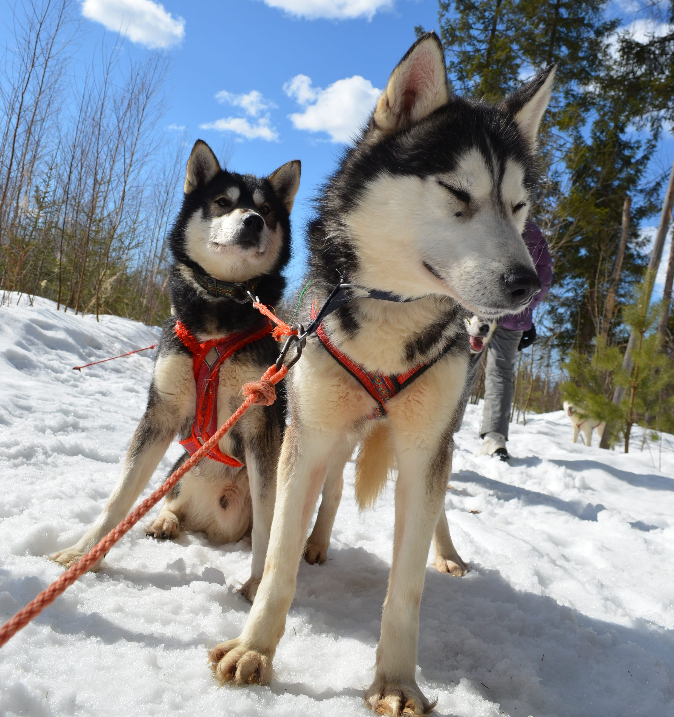 Зов Севера. Коллекция Приключений – туристический лагерь, Костромская обл., Нейский р-н. Путевки в детский лагерь на 2026 год, фото программы 3