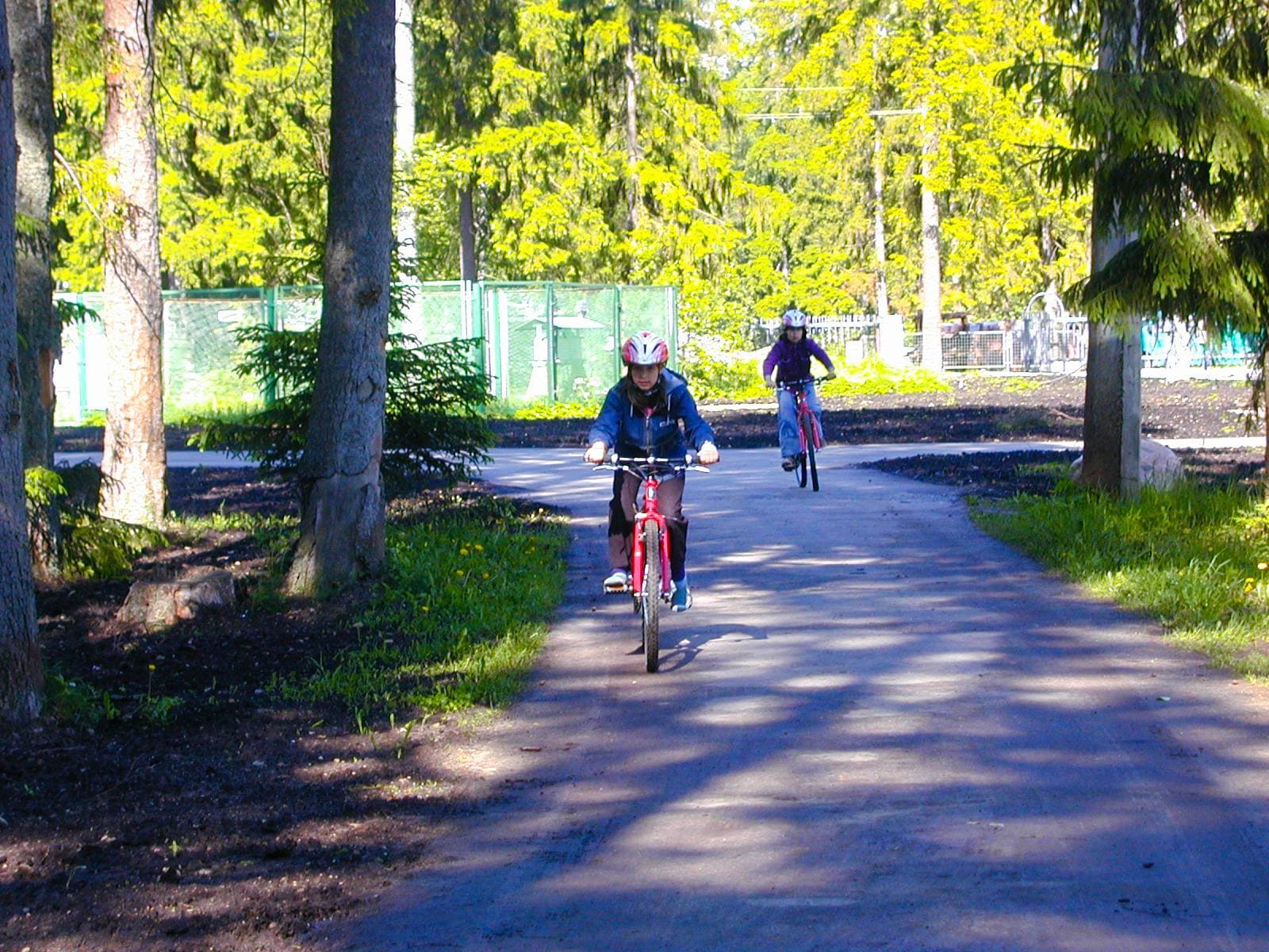 «AzimovCamp. ДОЛ Адмиралтеец», Ленинградская обл., Гатчинский р-н – 5.