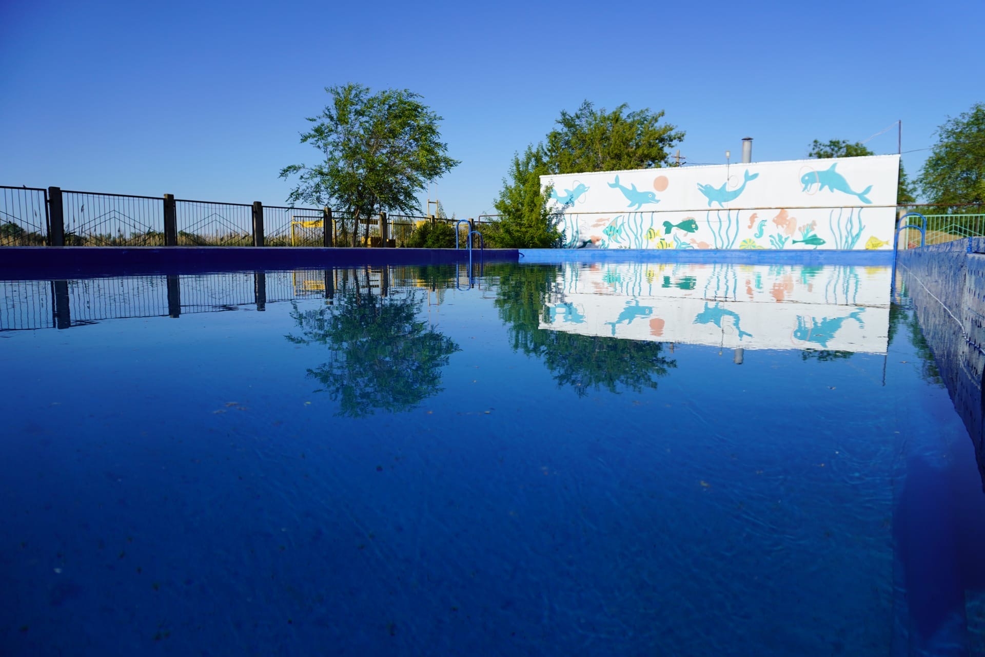 ДОЛ Юность – детский лагерь, Волгоградская обл., Городищенский р-н. Путевки в детский лагерь на 2026 год, фото размещения 4