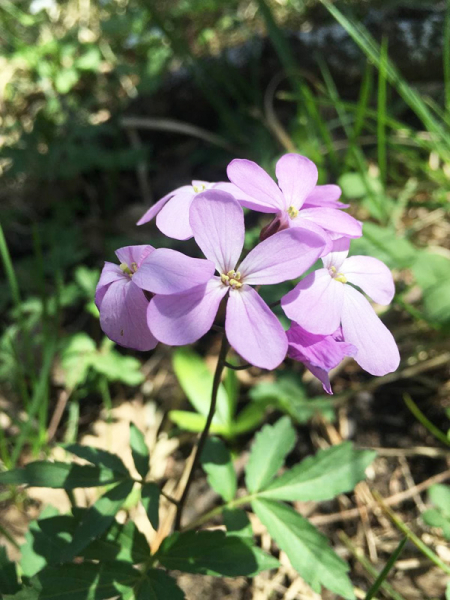 Робинзонада. Папайские гонки – детская программа, Краснодарский край. Путевки на детские программы на 2026 год, фото 14