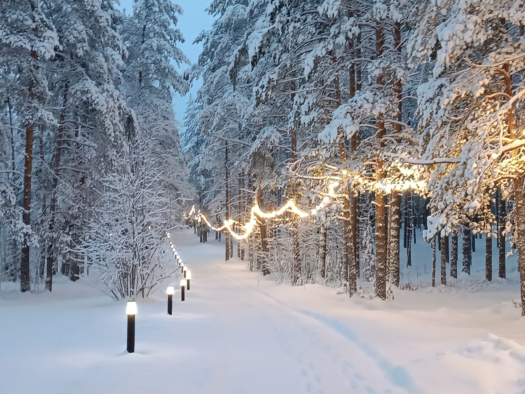 Подростково-детский творческий центр и лагерь Киноки. База Силандэ – творческий лагерь, Ленинградская обл., Всеволожский р-н. Путевки в детский лагерь на 2026 год, фото размещения 7