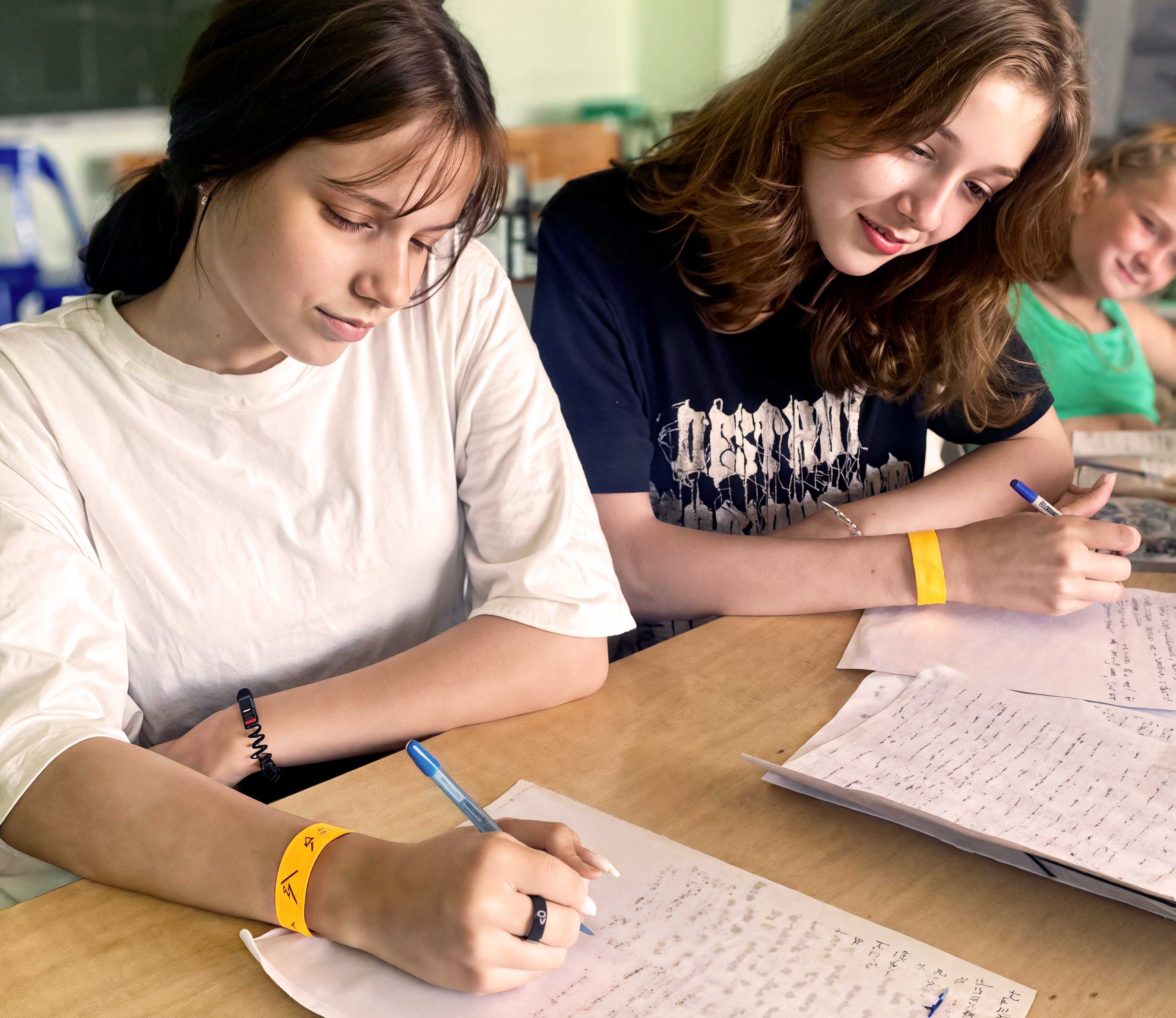 Языковой тур Orange Camp – языковой лагерь, Турция, Аланья. Путевки в детский лагерь на 2026 год, фото 2