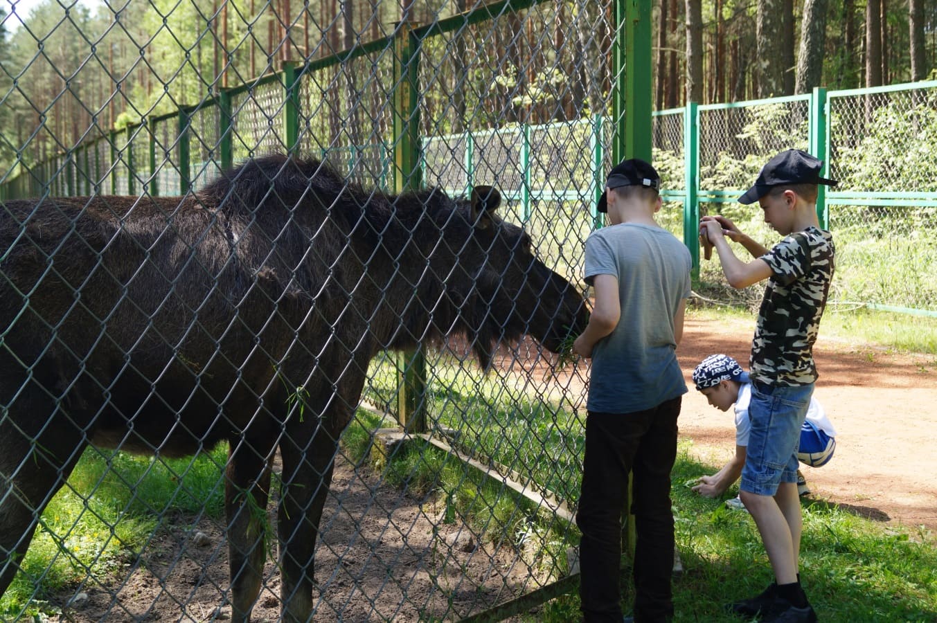 «Dreamcamp» – Детский лагерь в Беларуси, фото 3