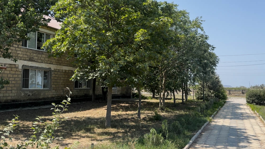 Время дела. Профориентационный лагерь – профориентационный лагерь, Дагестан, Новокаякент. Путевки в детский лагерь на 2026 год, фото размещения 10