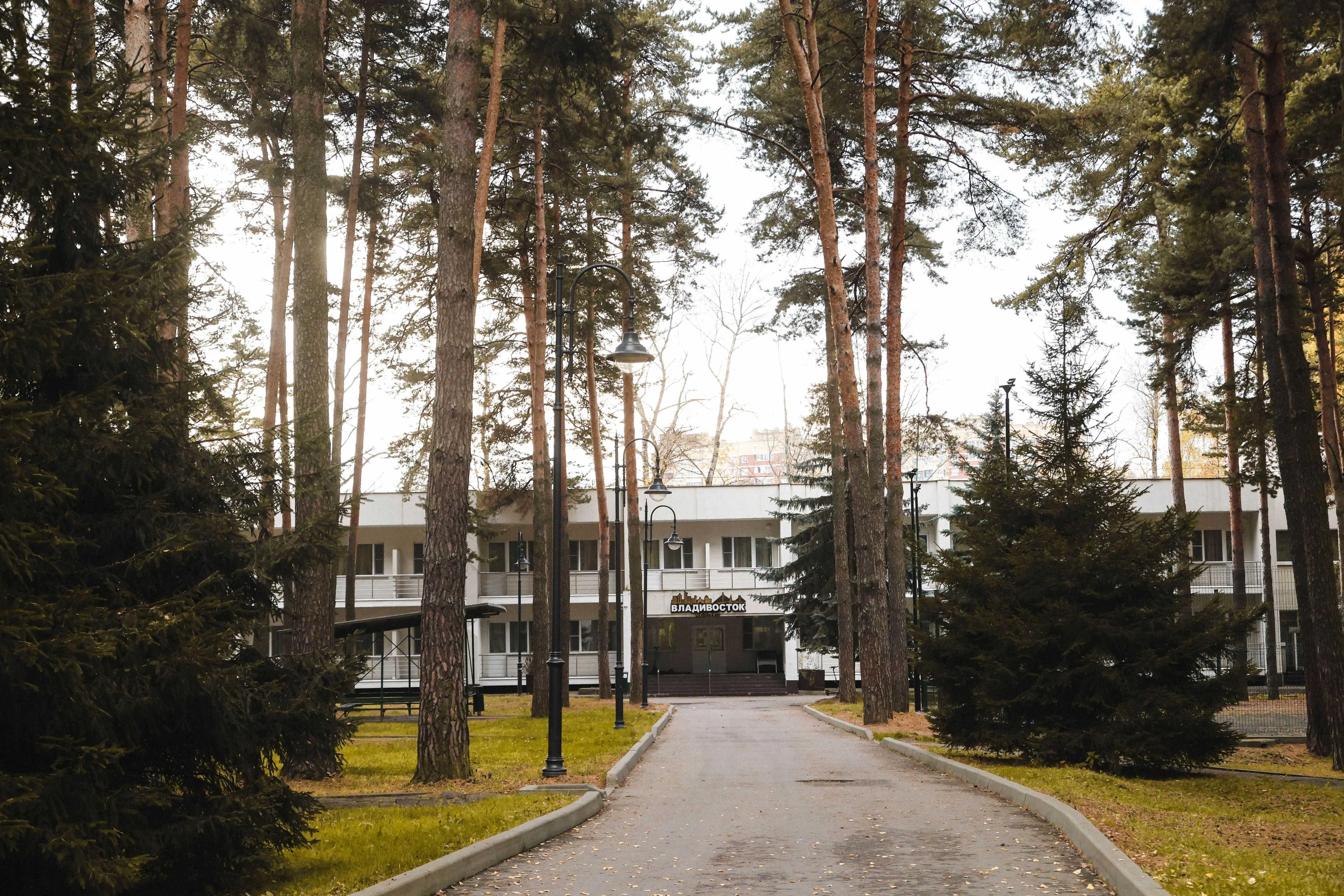 Enjoy Camp Роботы. Ёлочки – детская программа, Московская обл., Домодедово. Путевки на детские программы на 2026 год, фото размещения 1