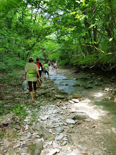 Робинзонада. Морской дозор – туристический лагерь, Краснодарский край, Туапсе. Путевки в детский лагерь на 2026 год, фото программы 10