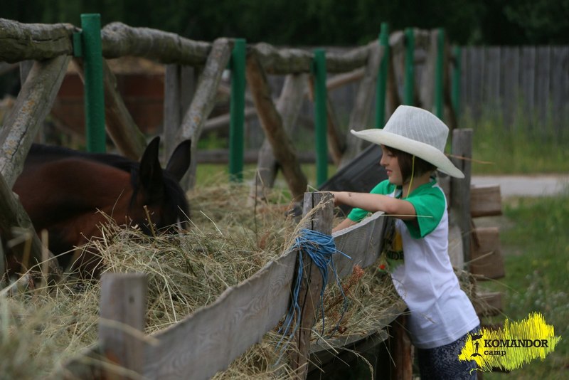 «Лагерь Командор» – Детский конный лагерь в Калужской области, фото программы 5