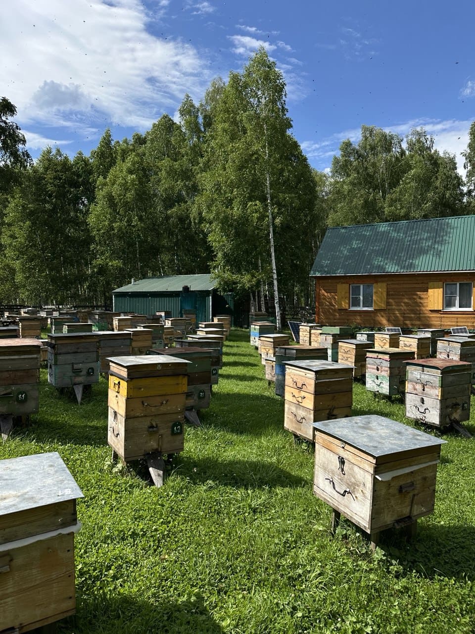 Altai Spirits. Туристическая программа – туристический лагерь, Республика Алтай, Усть-Коксинский р-н. Путевки в детский лагерь на 2026 год, фото программы 1