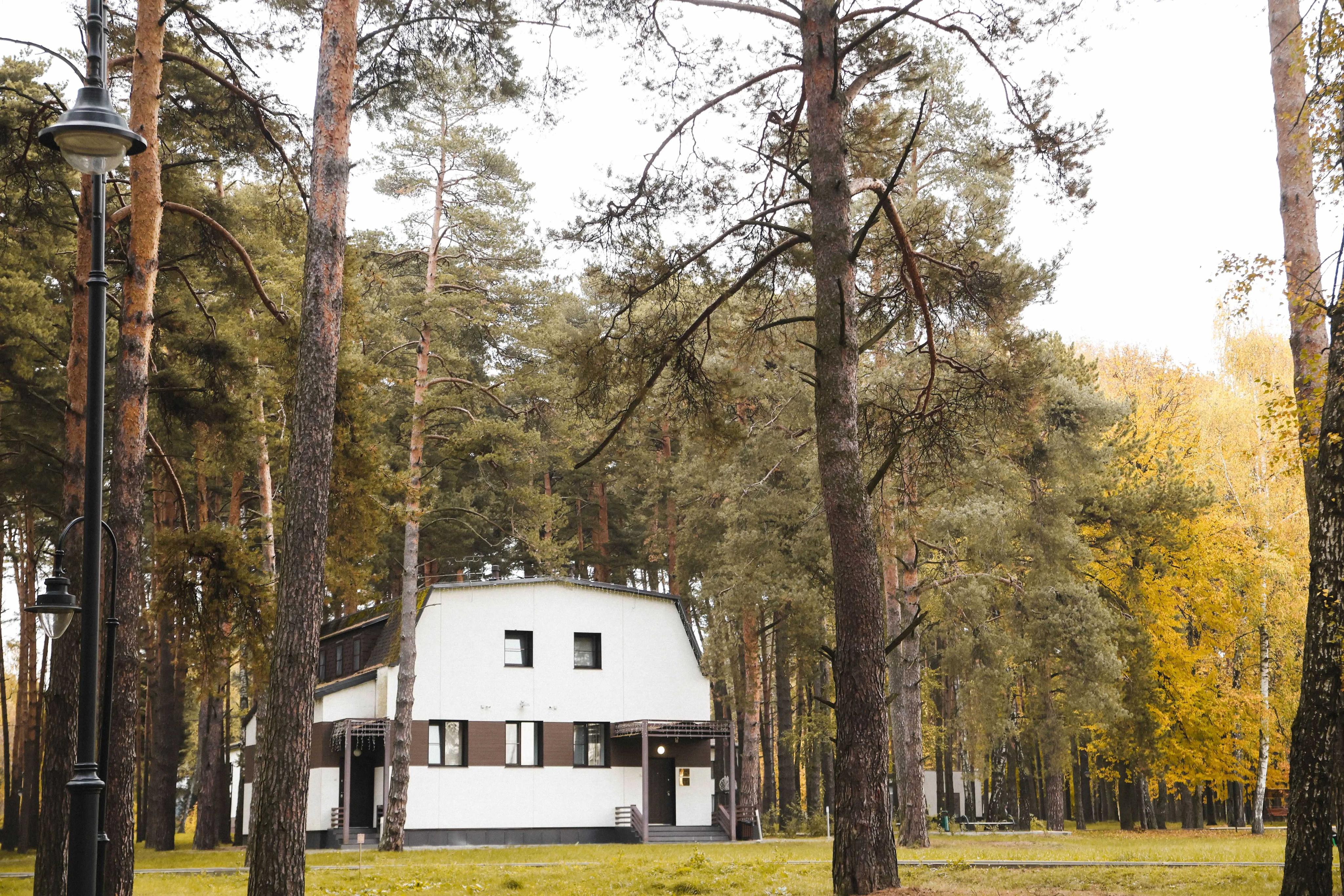 Enjoy Camp Роботы. Ёлочки – детская программа, Московская обл., Домодедово. Путевки на детские программы на 2026 год, фото размещения 7