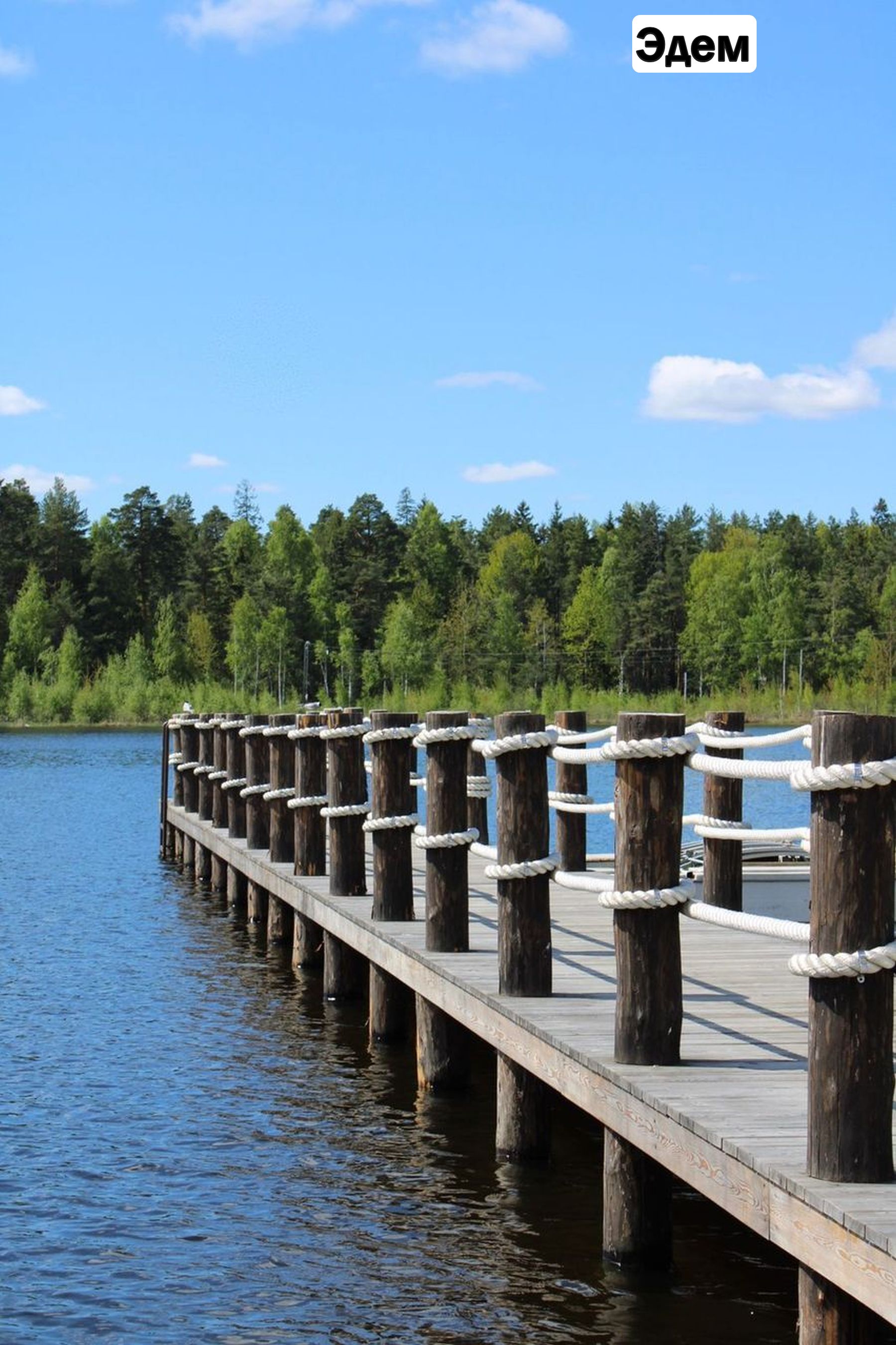 Oxford Camp. Классика. Эдем и Новая Истра – детская программа, Московская обл., 2 локации. Путевки на детские программы на 2026 год, фото размещения 9