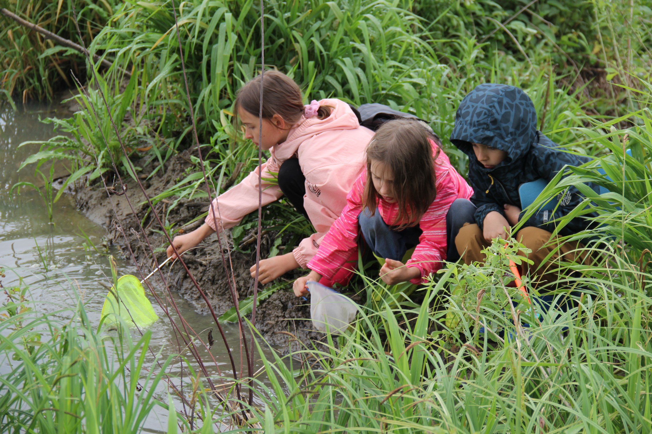 Экологика. НЕлагерь на биостанции Осетровка – детская программа, Тульская область, Ясногорский район. Путевки на детские программы на 2026 год, фото программы 6