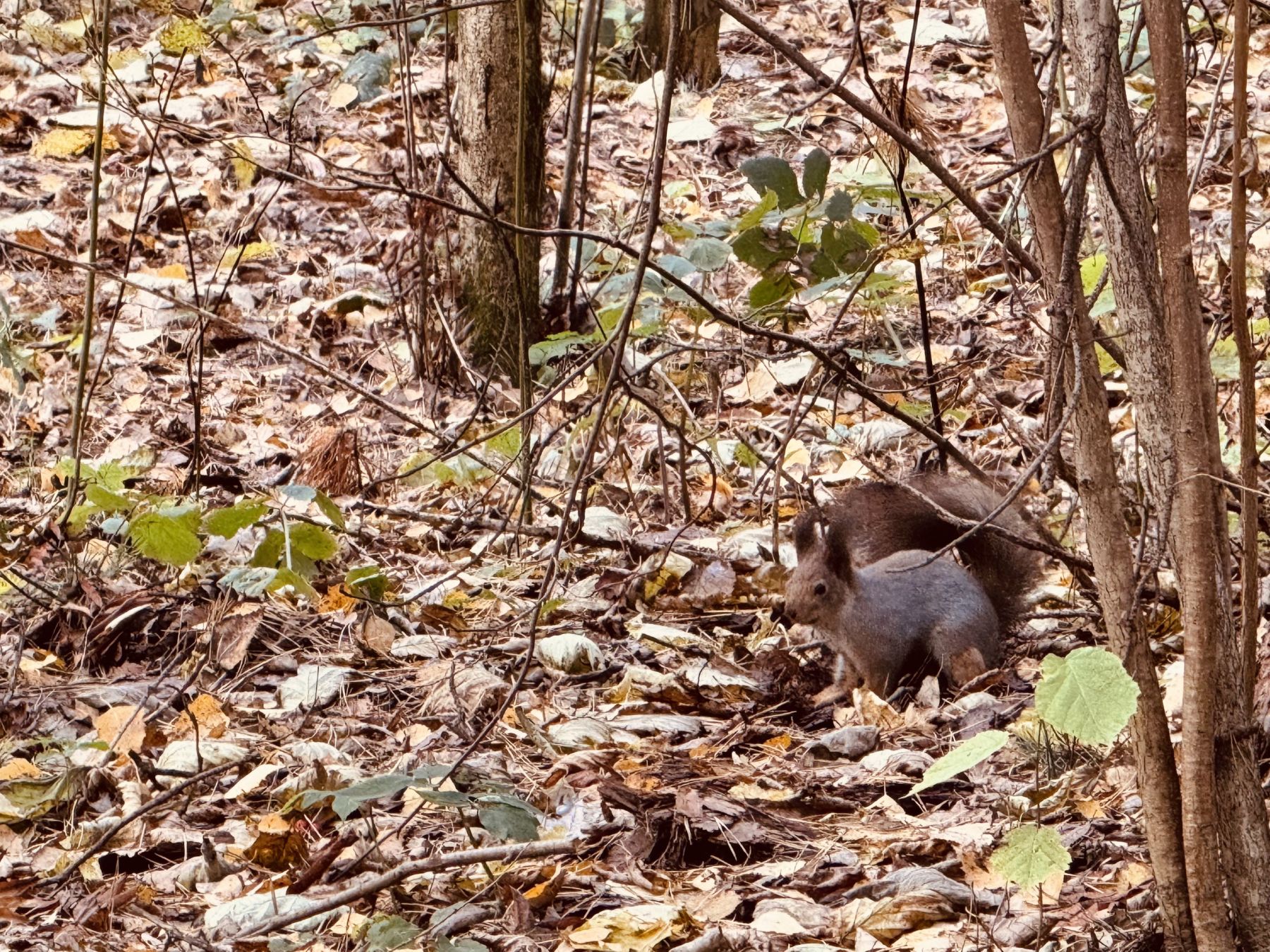 «ПроКаникулы. ПроЖизнь. Беларусь », Беларусь, Брест – 5.